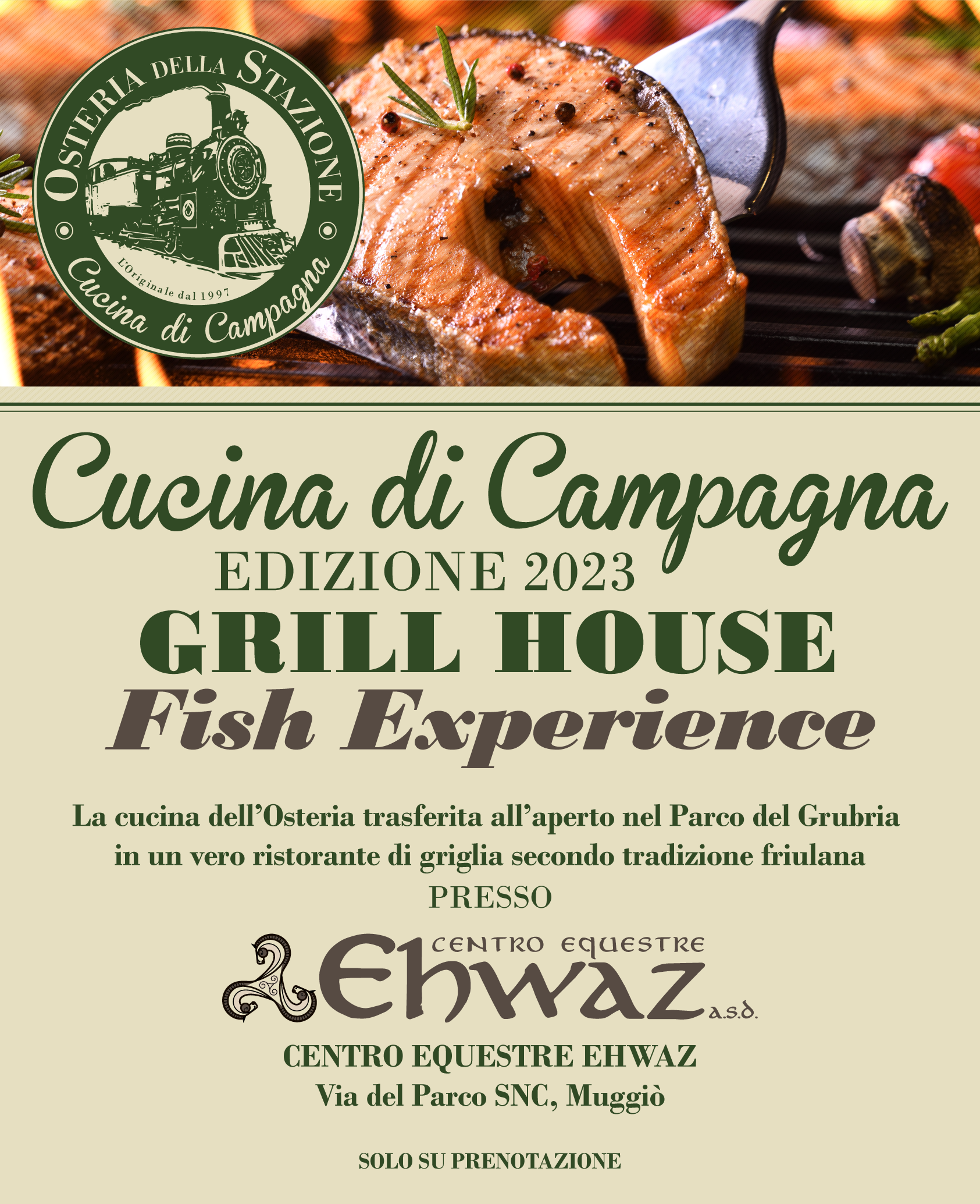 FISH EXPERIENCE