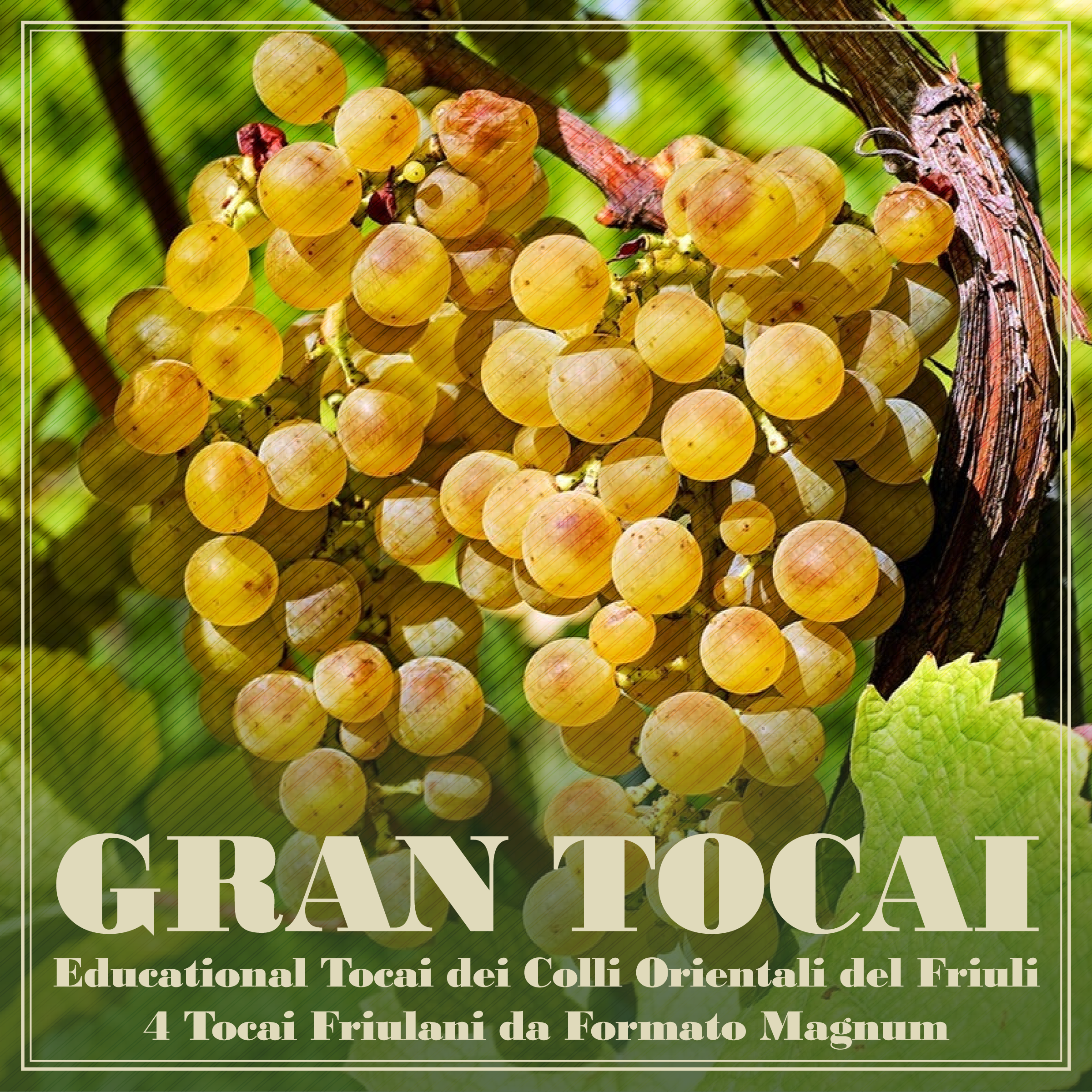 Gran Tocai
